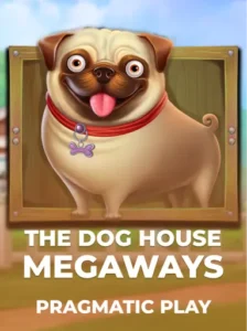 The Dog House Megaway vpbet usa